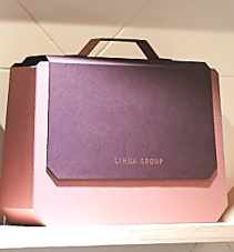 Handgehaltene Geschenkbox