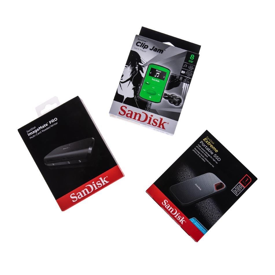 Sandisk.kgm